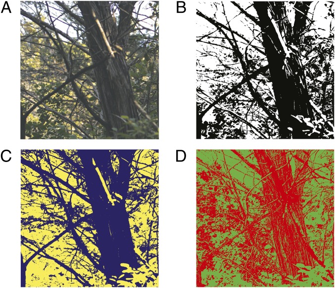 Fig. 3.