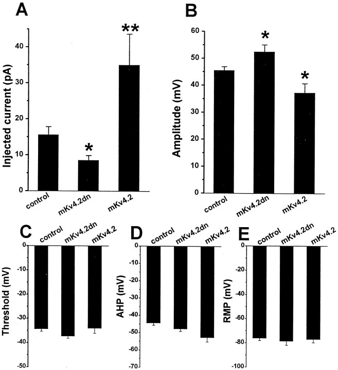 Fig. 10.