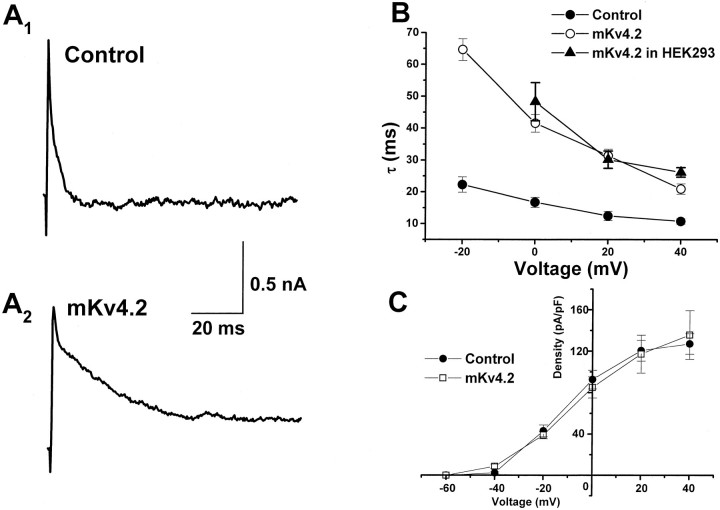 Fig. 8.