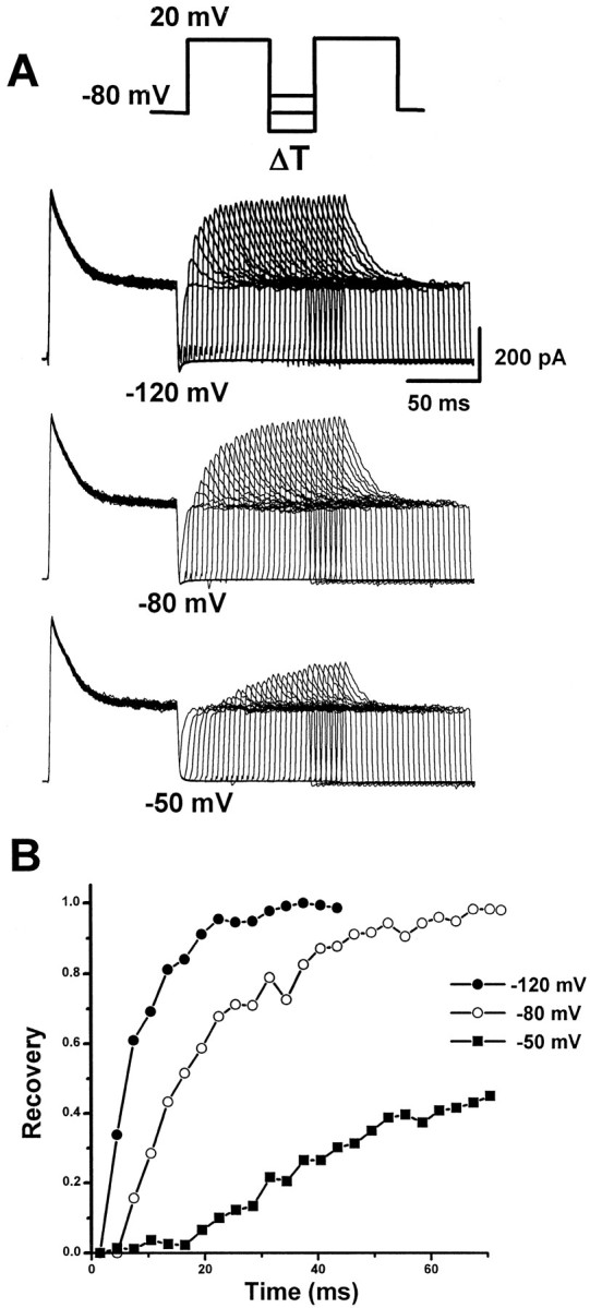 Fig. 5.