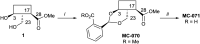 Scheme 2