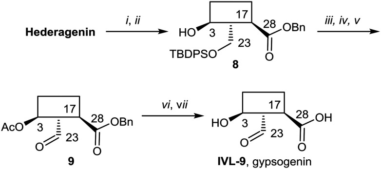 Scheme 6