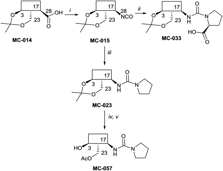 Scheme 1