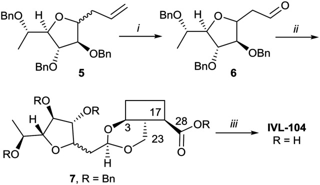 Scheme 5