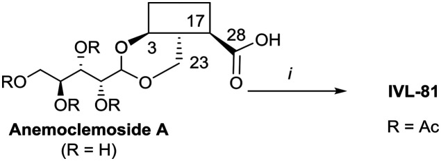 Scheme 3