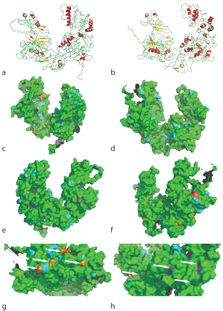 Fig. 10