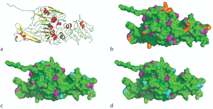 Fig. 8