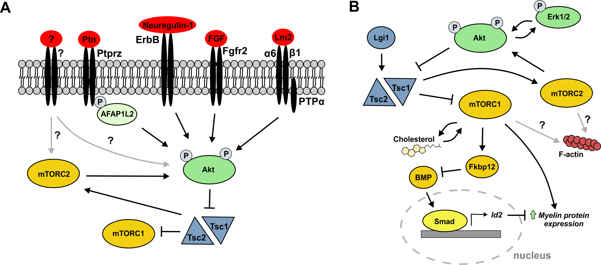 Figure 2: