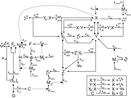 Fig. 2.