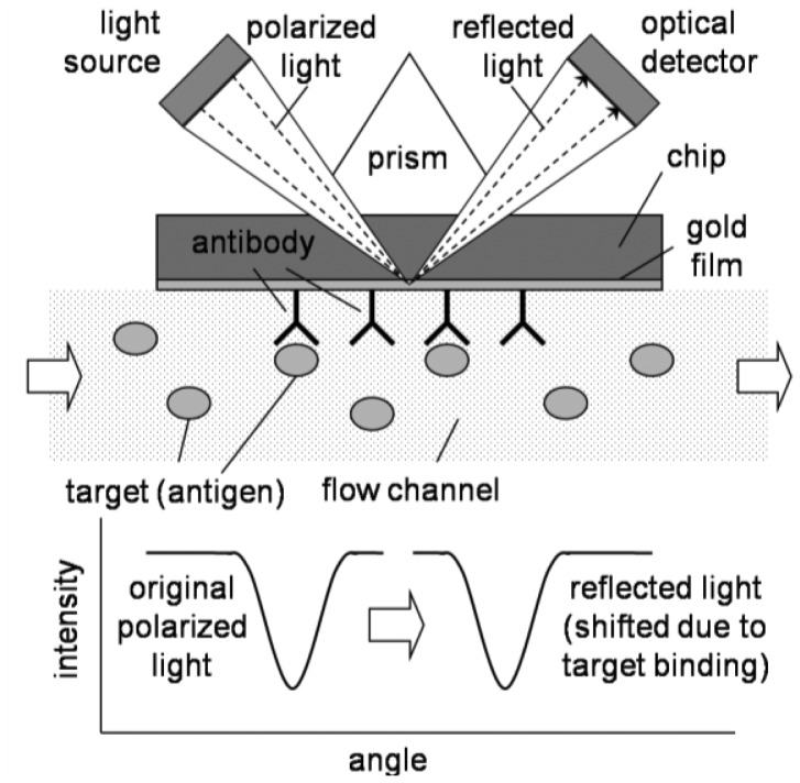 Figure 7.