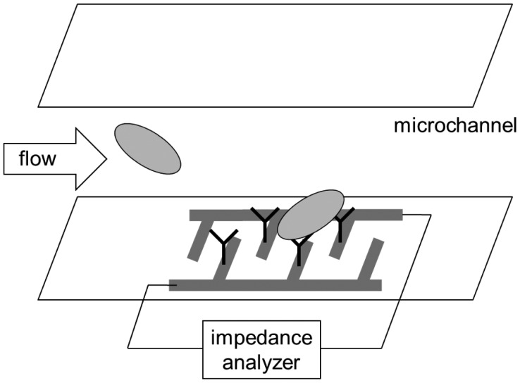 Figure 9.