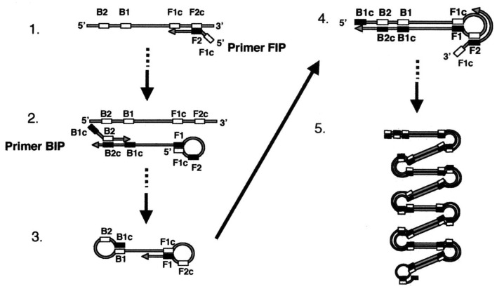 Figure 14.