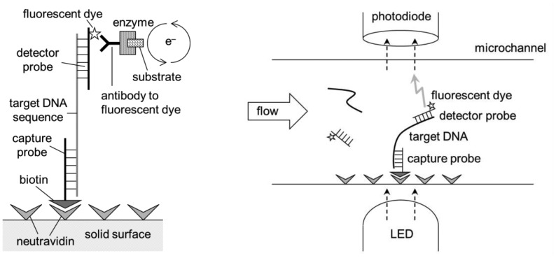 Figure 10.