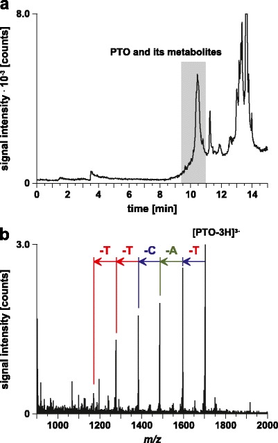 Fig. 8