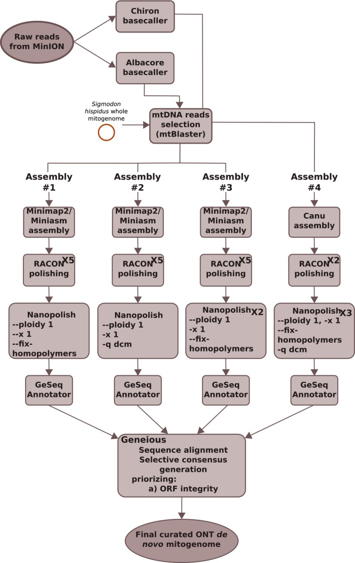 FIGURE 2