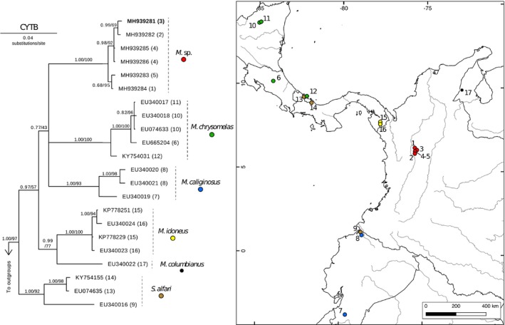 FIGURE 1