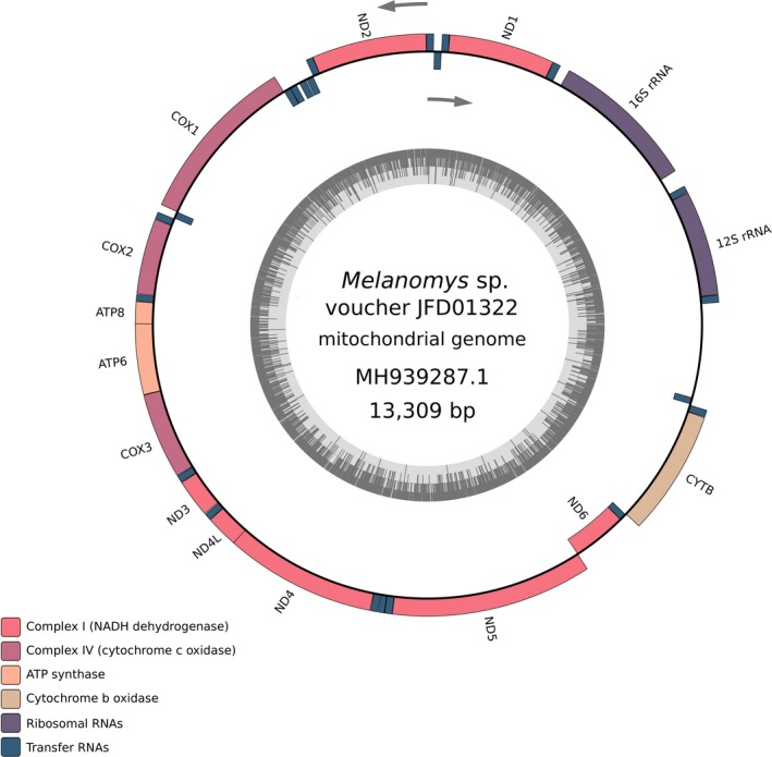 FIGURE 4