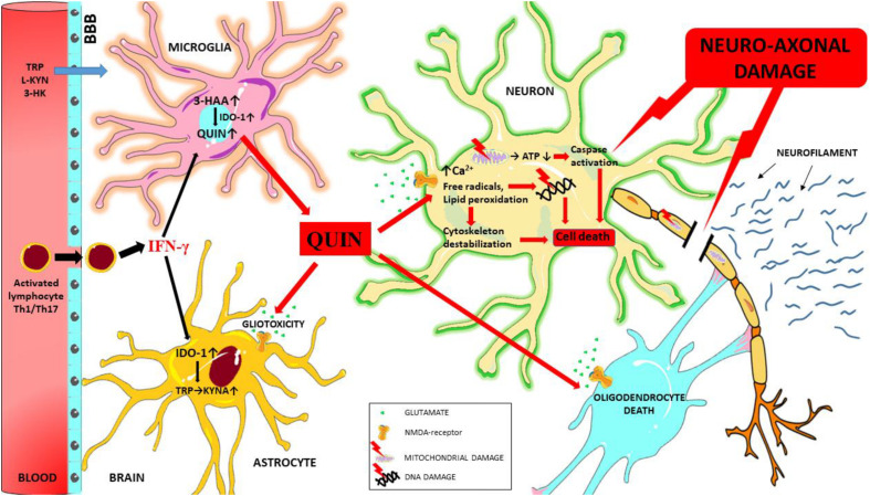 FIGURE 3