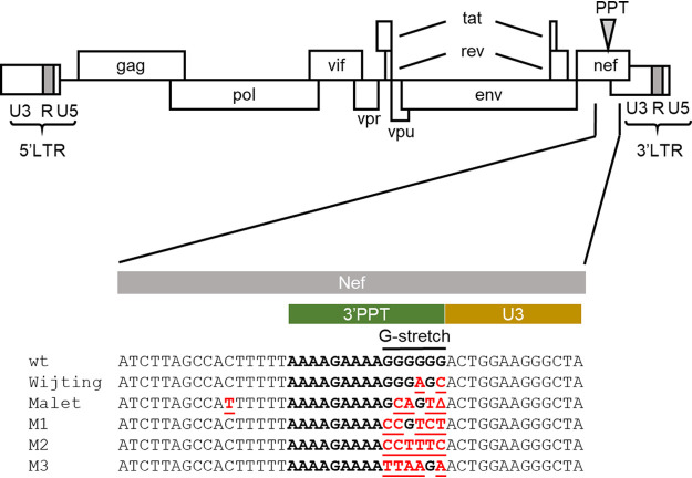 FIG 1