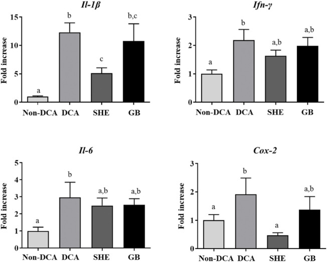 FIGURE 4