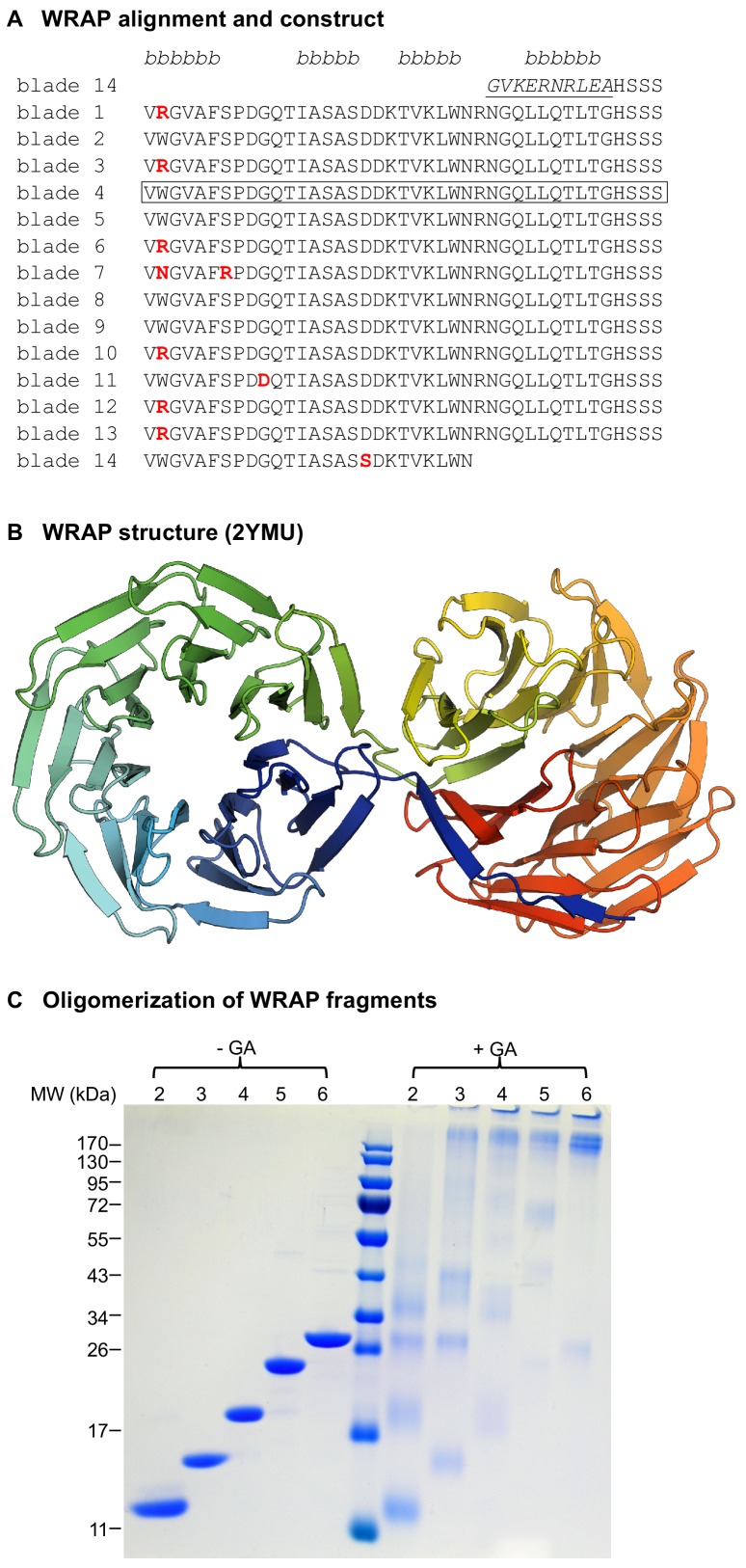 Figure 2.