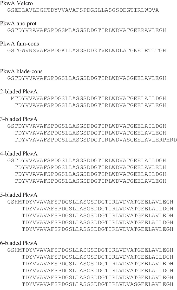 Figure 1—figure supplement 1.