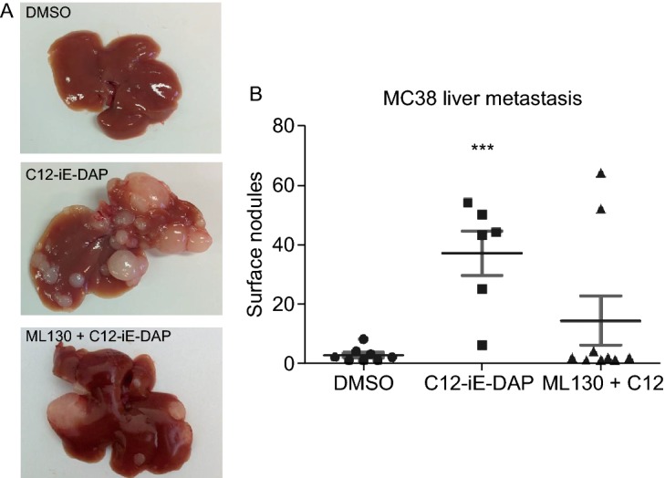 Figure 3