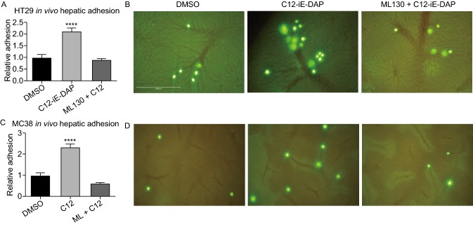 Figure 5