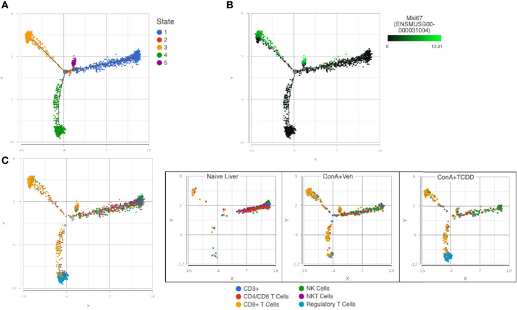 Figure 11