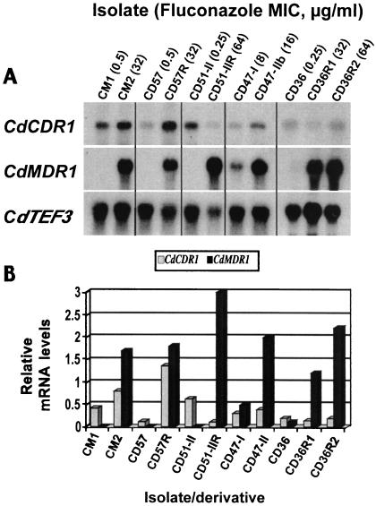 FIG. 4.