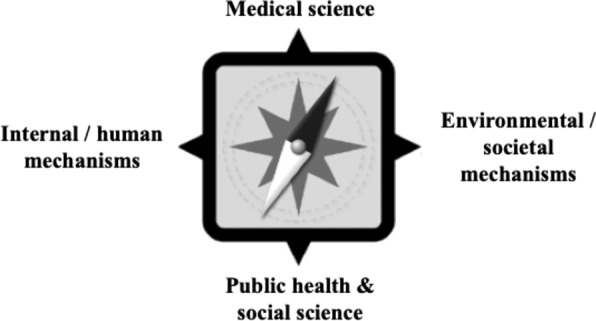 Fig. 6