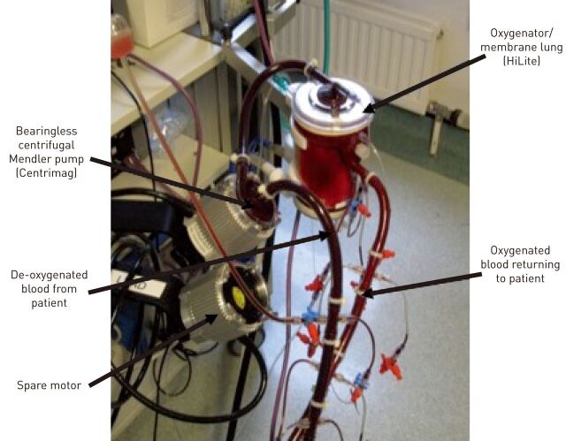 Figure 3.