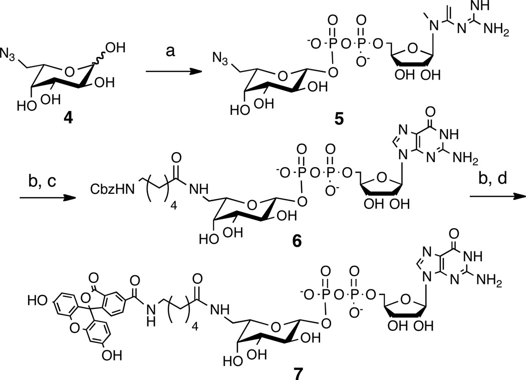 Scheme 2