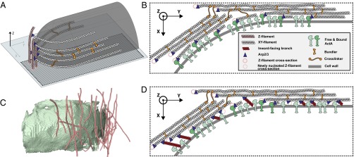 Fig. 4.