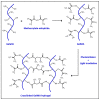 Scheme 1