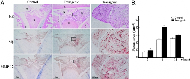 Figure 3-4264