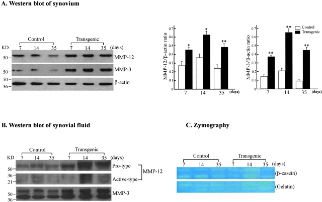 Figure 7-4264