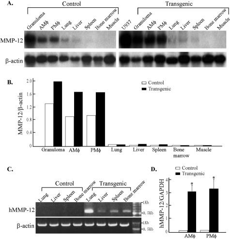 Figure 1-4264