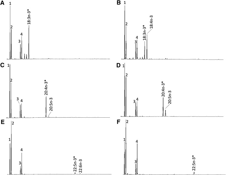 Fig. 3.