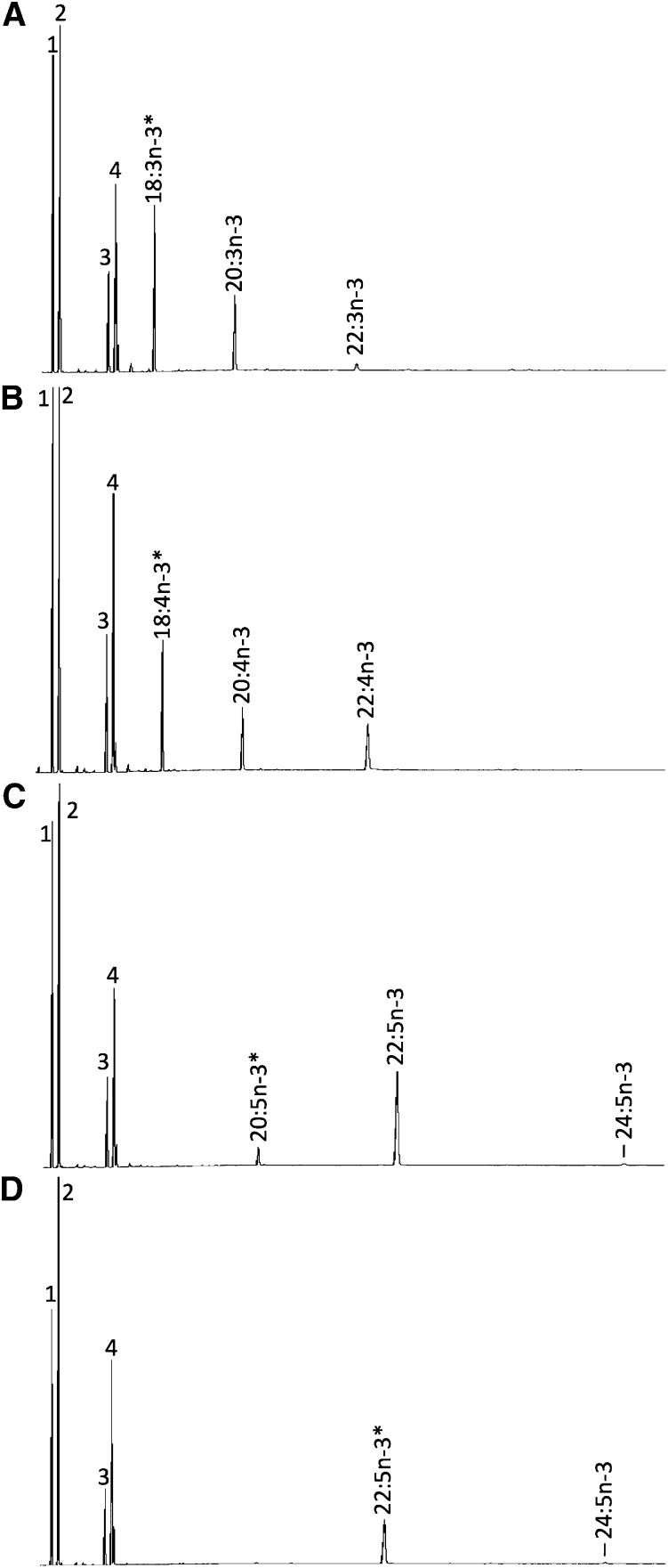 Fig. 5.