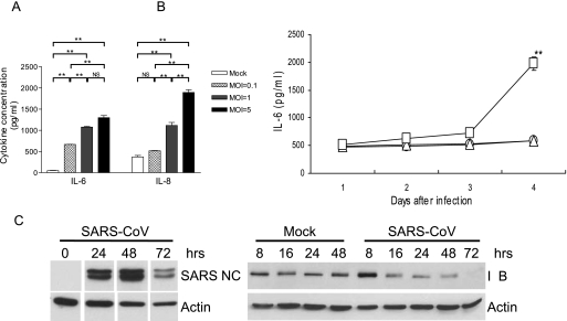 FIG. 1.