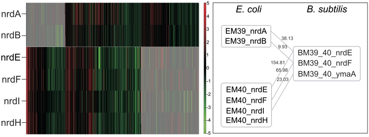 Figure 6.