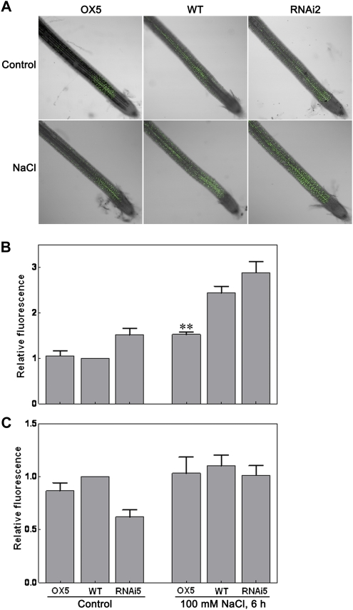 Figure 10.