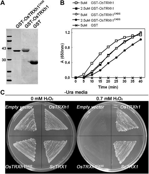 Figure 2.