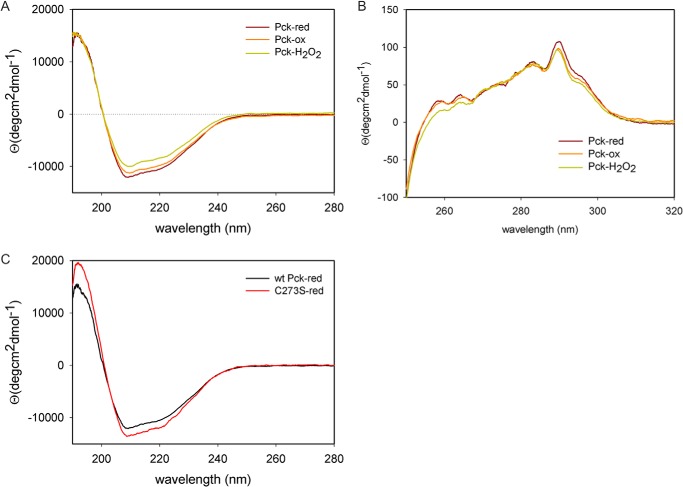 FIGURE 7.