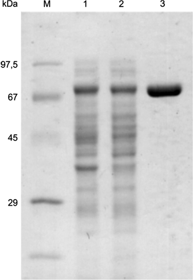 FIGURE 1.