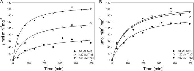 FIGURE 11.