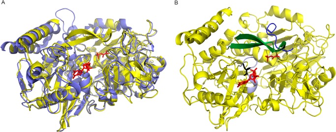 FIGURE 9.