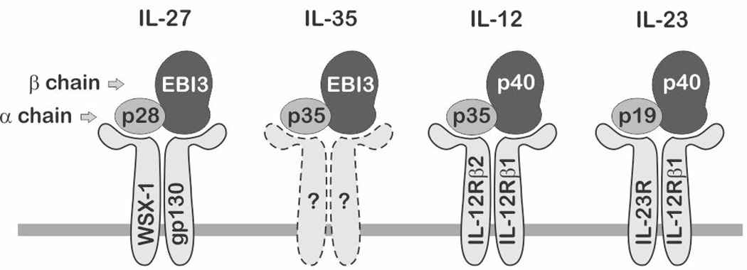 Fig.1