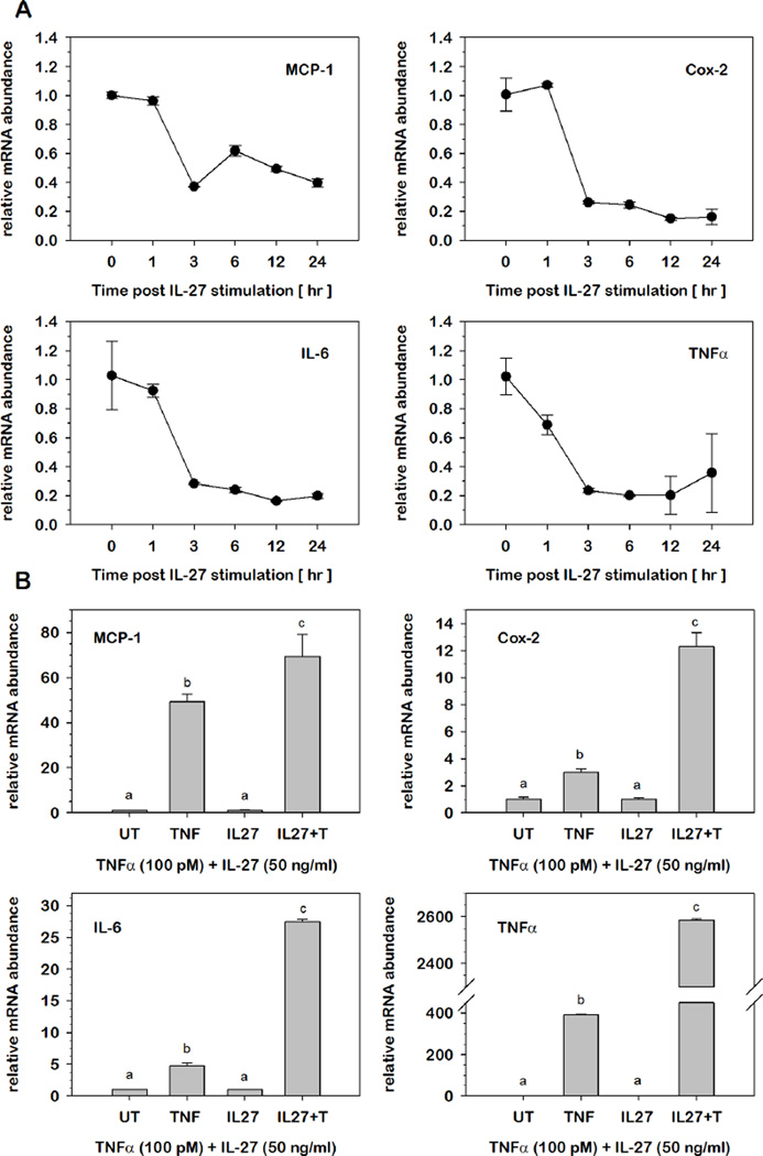 Fig.7